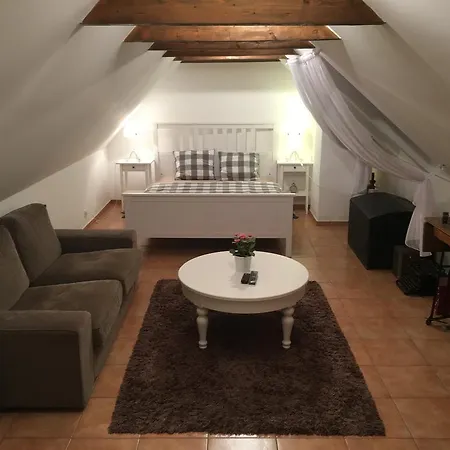 Guest house Habansky Dum *